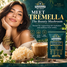 Tremella Mushroom Coffee – Midnight Mocha Spice (30 Servings)