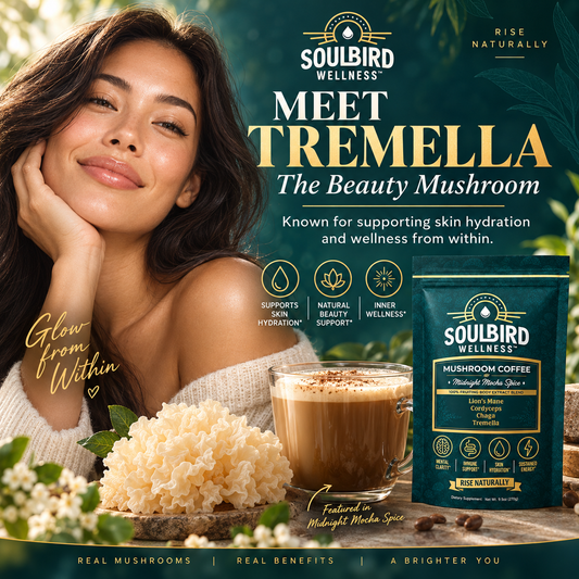 Tremella Mushroom Coffee – Midnight Mocha Spice (30 Servings)